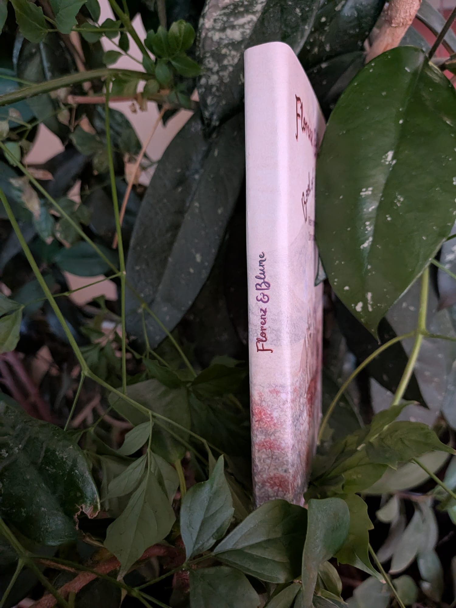 The Book of Wishes standing on its spine among green leaves