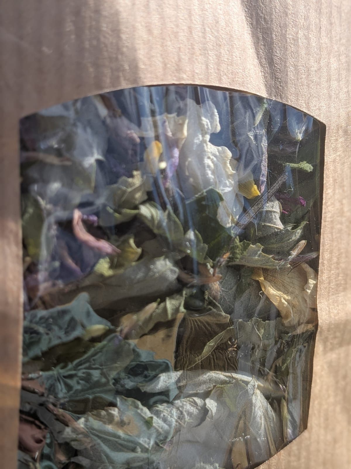 The Hidden Garden tea bag, showing the label with Florenz, Blume and Pim in a teacup