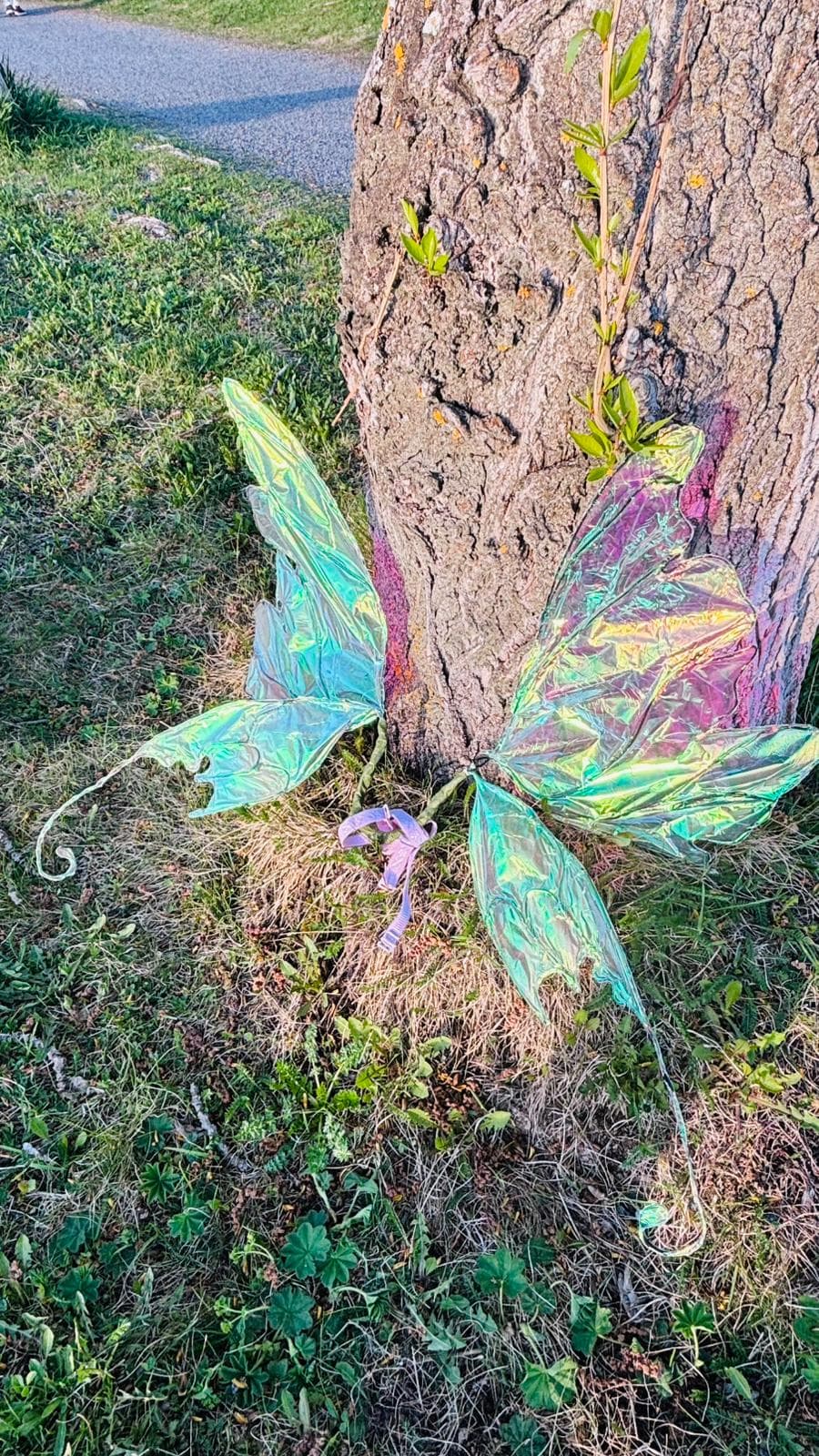 A finished pair of iridescent wings