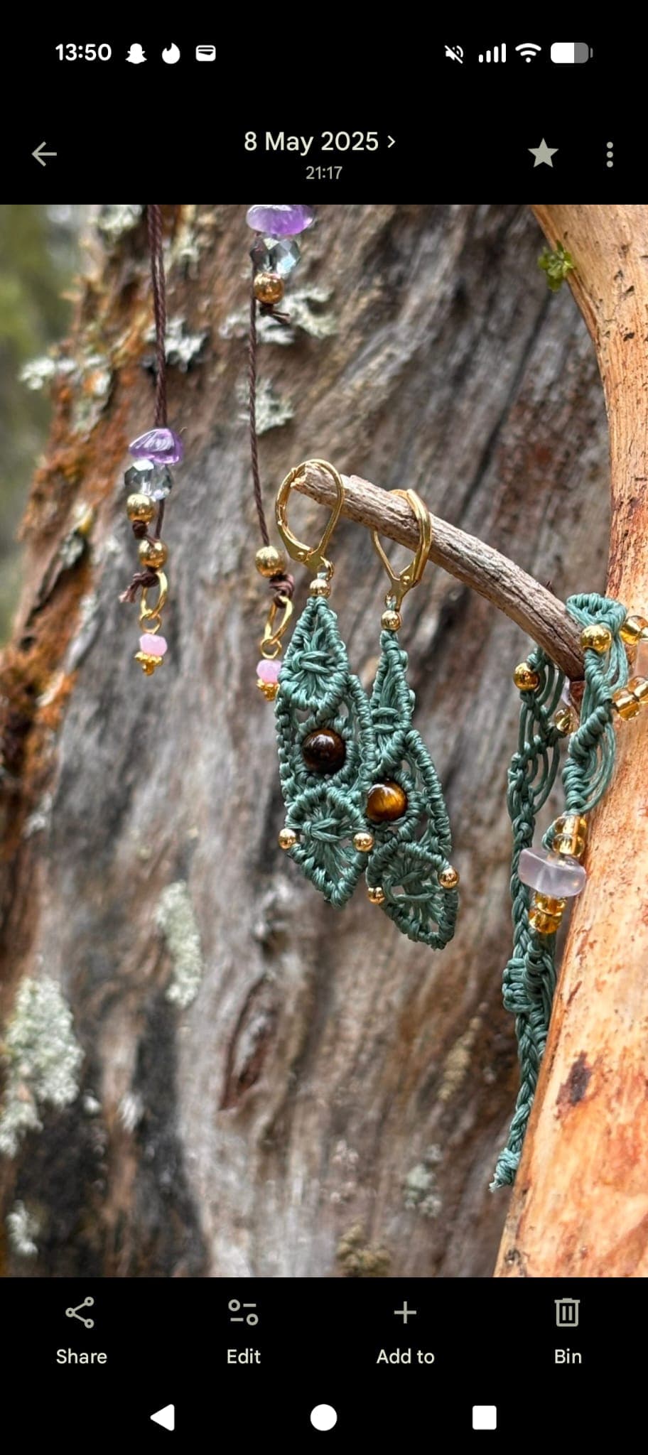 A pair of story earrings hung on a branch