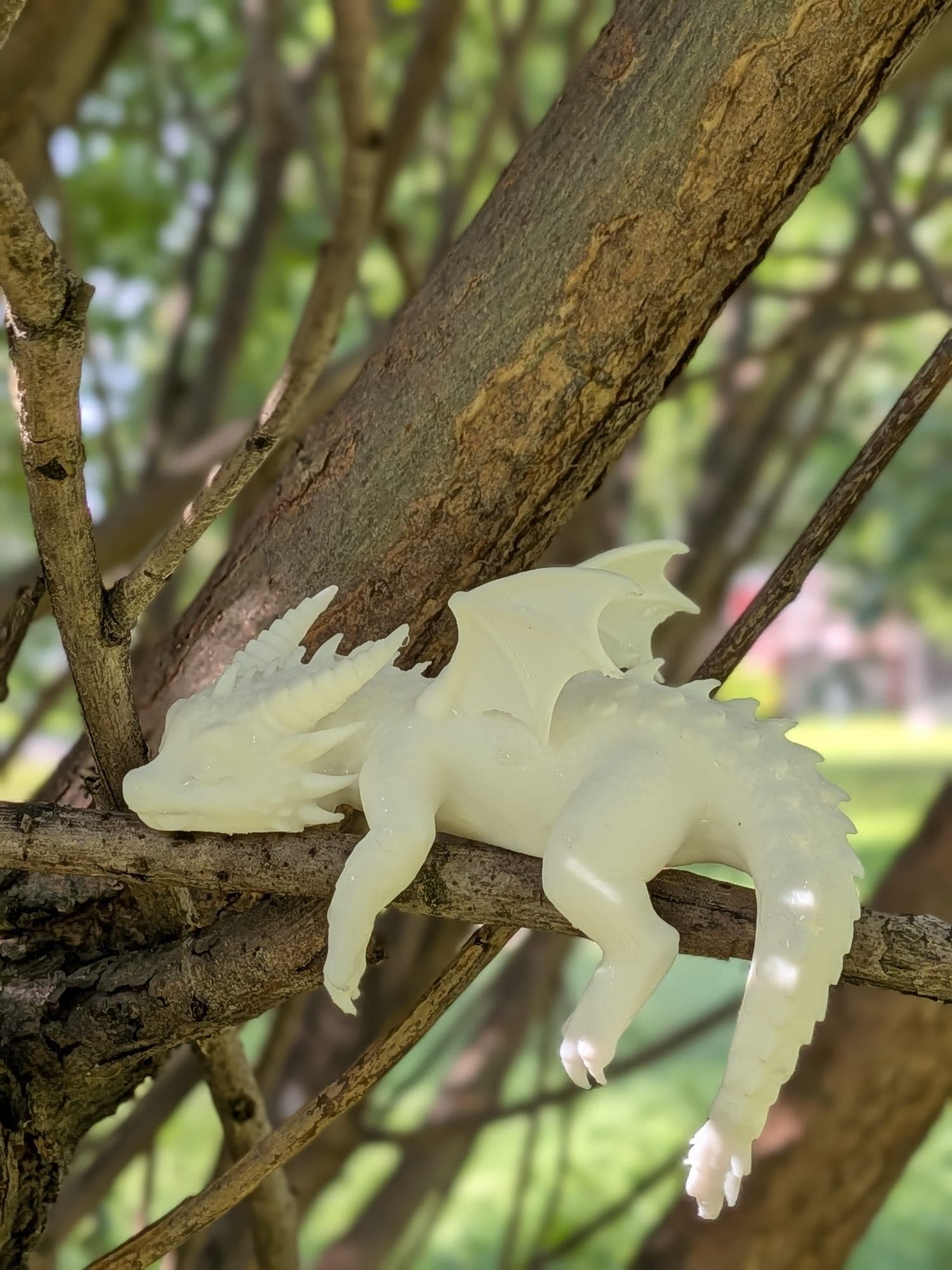 The dragon figure on a branch, catching the light