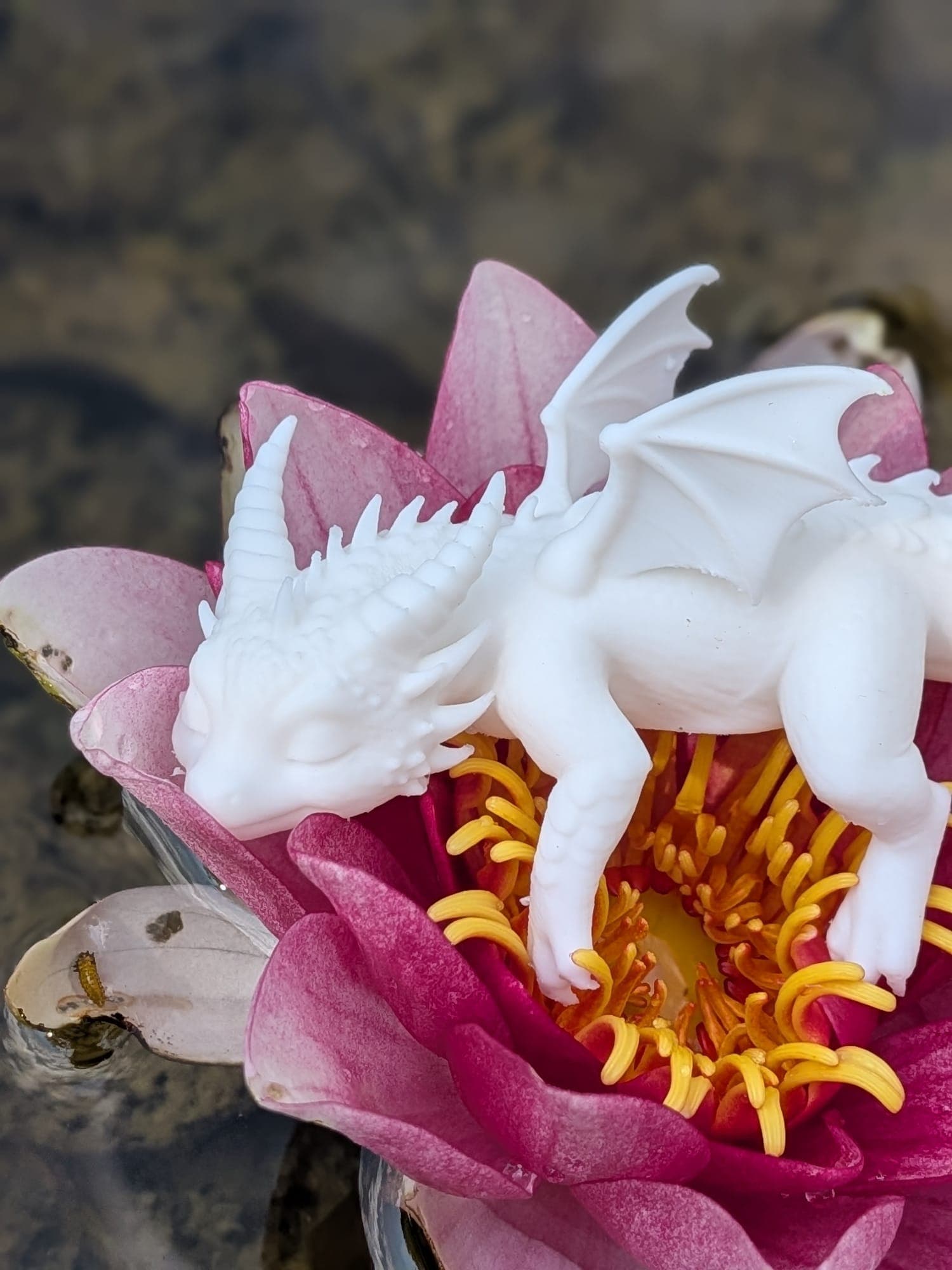 The Florenz dragon figure standing beside a water lily