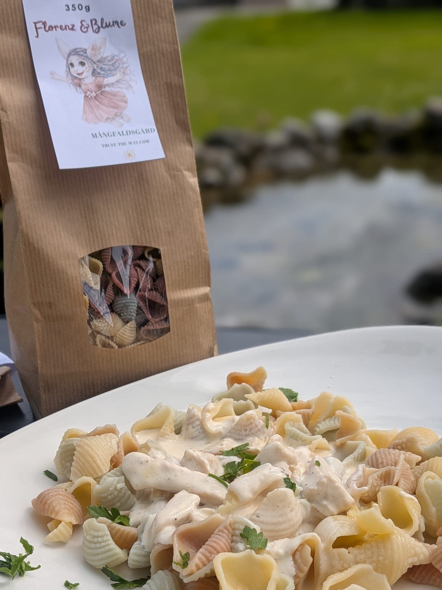 A plate of the coloured shell pasta beside the pond